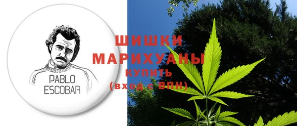 прущие грибы Бородино