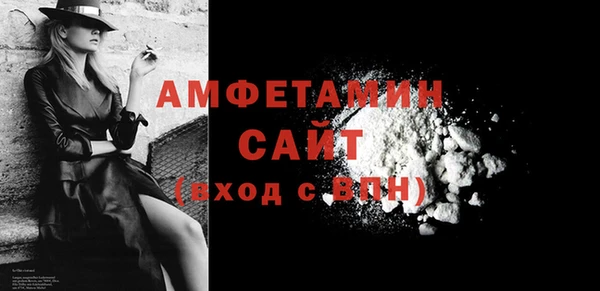 прущие грибы Бородино