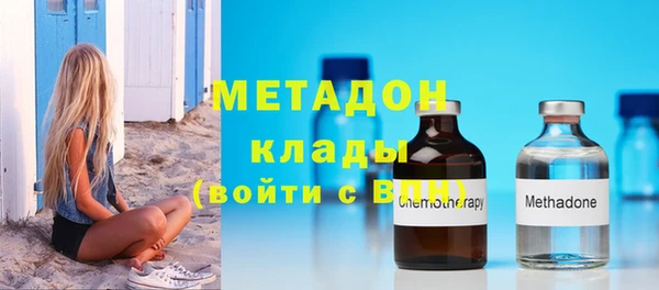 прущие грибы Бородино
