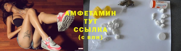 прущие грибы Бородино