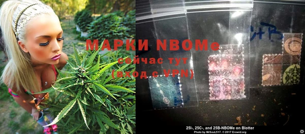 прущие грибы Бородино