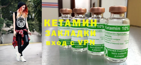 прущие грибы Бородино