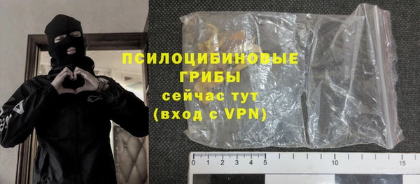 прущие грибы Бородино