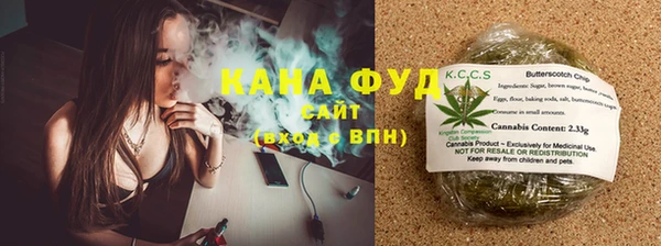 прущие грибы Бородино