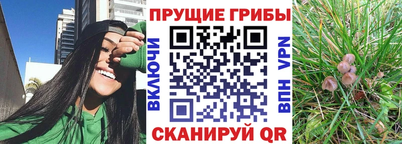 Галлюциногенные грибы MAGIC MUSHROOMS  гидра ссылки  Кирсанов 